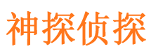 田家庵侦探